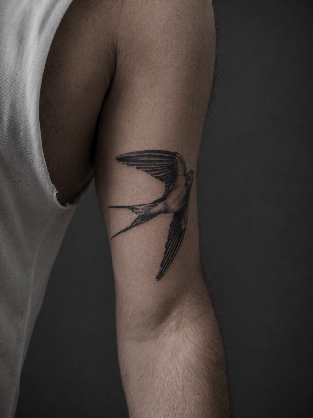 Swallow tattoo